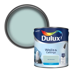 Image of Dulux Mint macaroon Matt Emulsion paint 2.5L