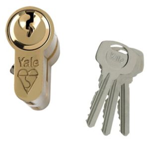 Image of Yale Brass-plated Single Euro Cylinder lock (L)100mm (W)29mm