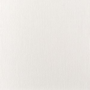 Image of Graham & Brown Superfresco White Small linear Blown Wallpaper