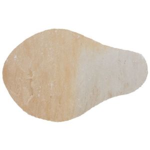 Image of Natural sandstone Fossil buff Stepping stone