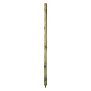 Image of Timber Tree pole (L)1.8m (W)40mm