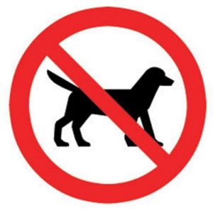 Image of No dogs allowed Self-adhesive labels (H)100mm (W)100mm