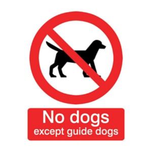 Image of No dogs except guide dogs Self-adhesive labels (H)100mm (W)100mm