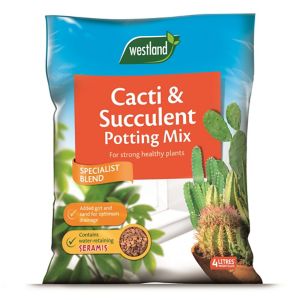 Image of Westland Cacti & succulent Compost 4L