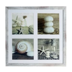 Image of Seashells Brown Framed print (H)400mm (W)400mm