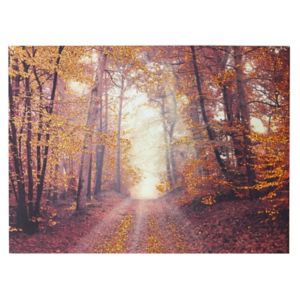 Image of Autumn woodland Copper Canvas art (H)570mm (W)770mm