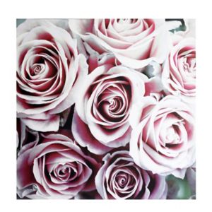 Image of Roses Blush Canvas art (H)900mm (W)900mm