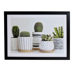 Image of Cactus Green Framed print (H)300mm (W)400mm