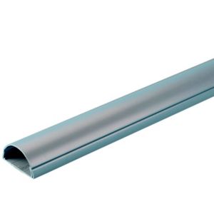 Image of D-Line Silver 50mm Semi-circle Trunking length (L)2m