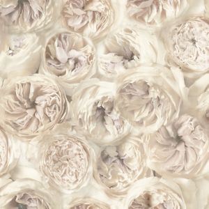 Image of A.S. Creation Wall Fashion Facade Cream Floral Embossed Wallpaper