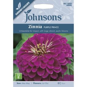 Purple Prince Zinnia Seed