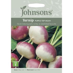 Purple Top Milan Turnip Seed