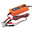 RAC 4A Car Battery charger