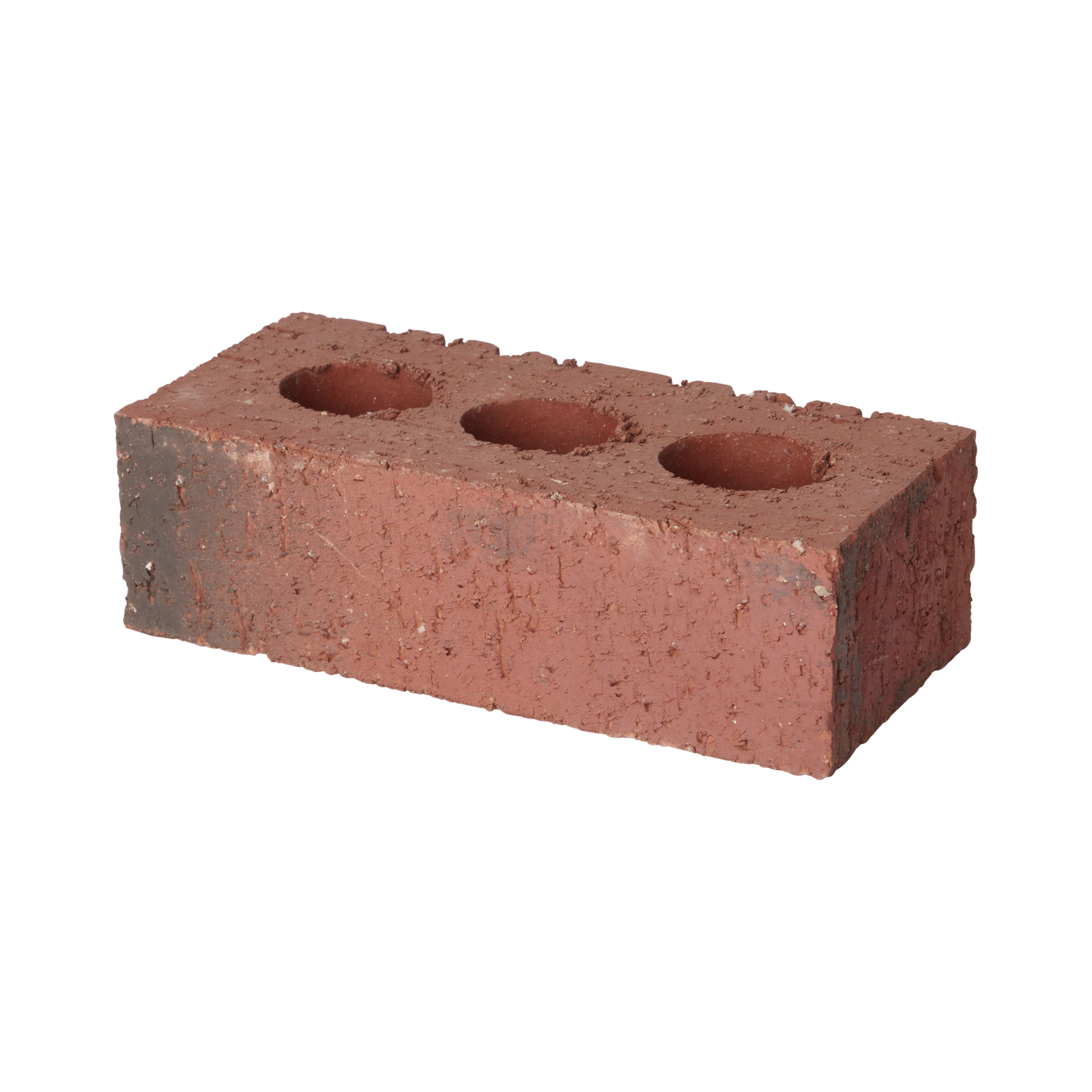 Raeburn Jacobite Rough Red Perforated Facing Brick (L)215mm (W)102.5mm ...