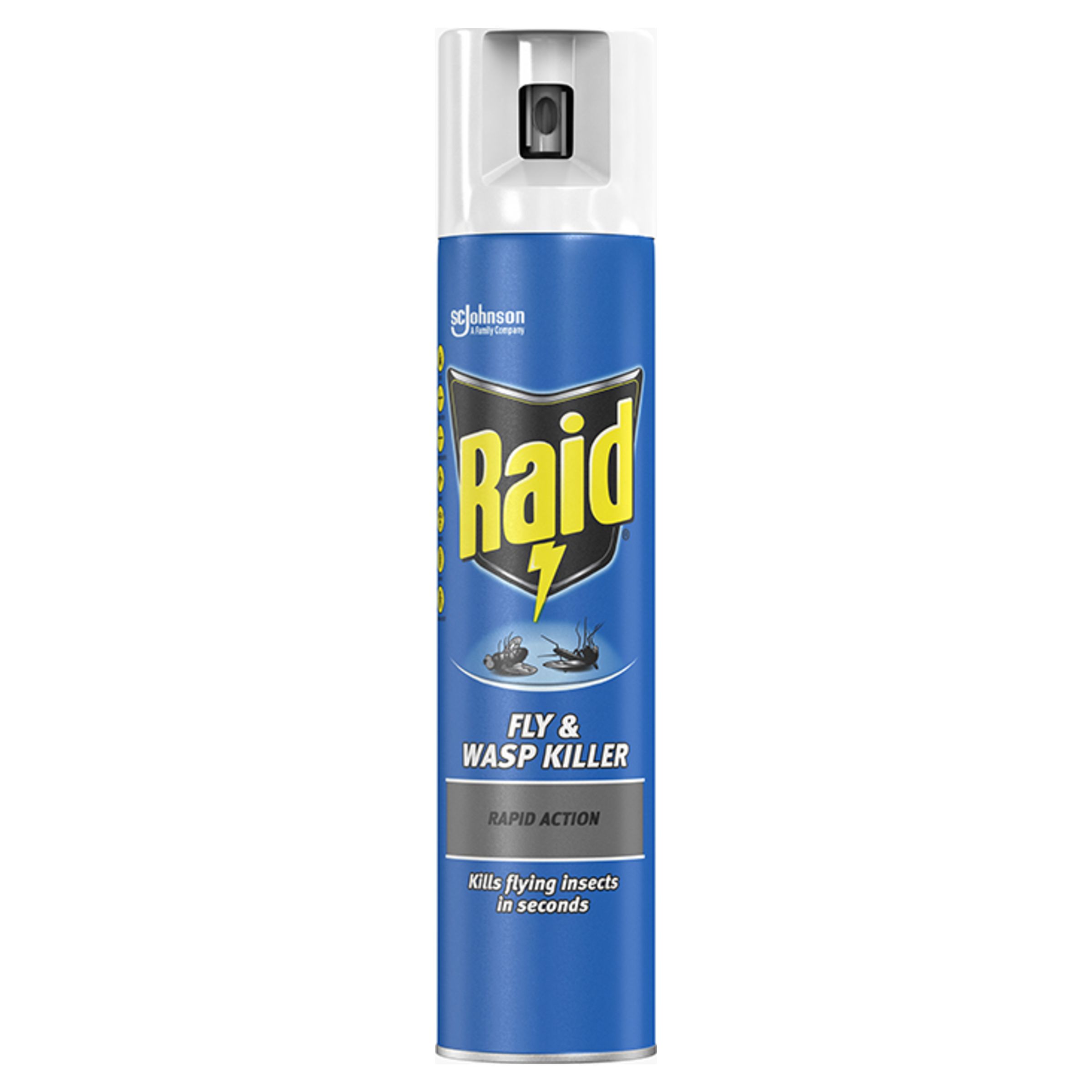 Raid Insect spray