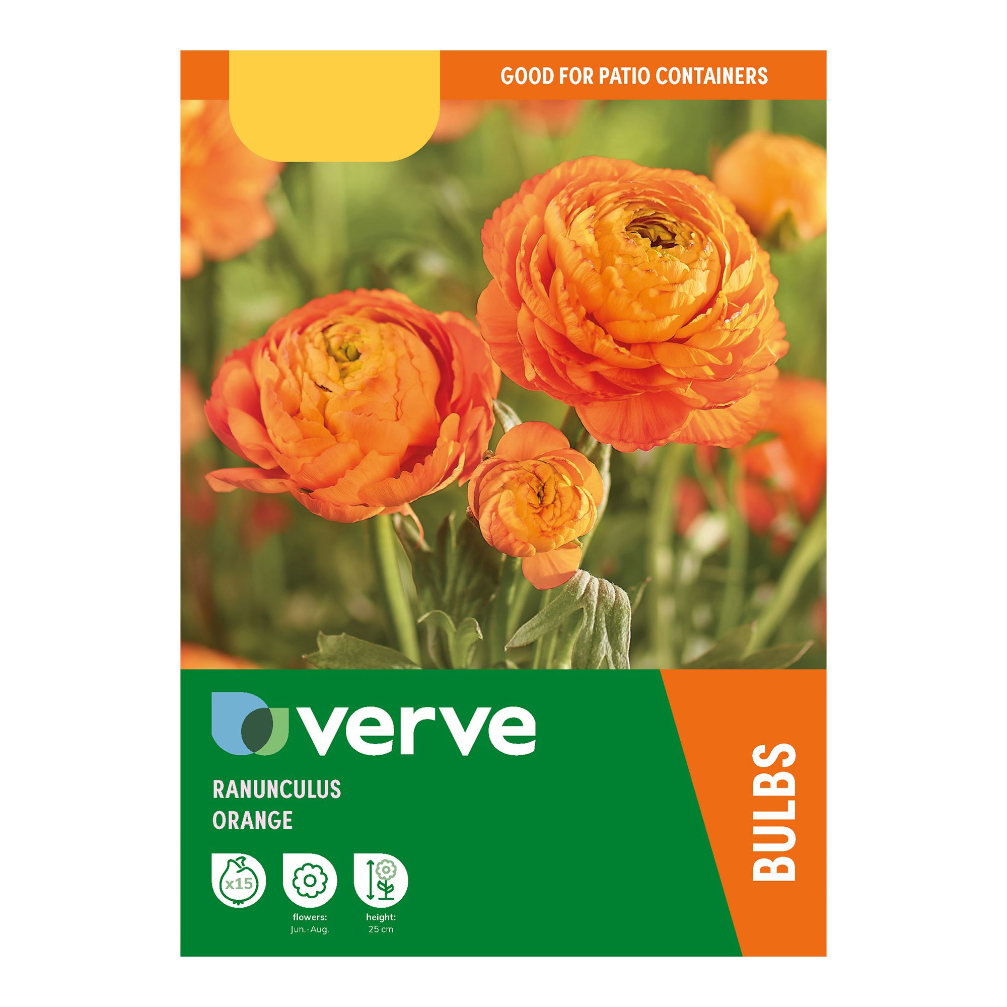 Ranunculus Orange Flower bulb, Pack of 15