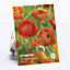 Ranunculus Orange Flower bulb, Pack of 15