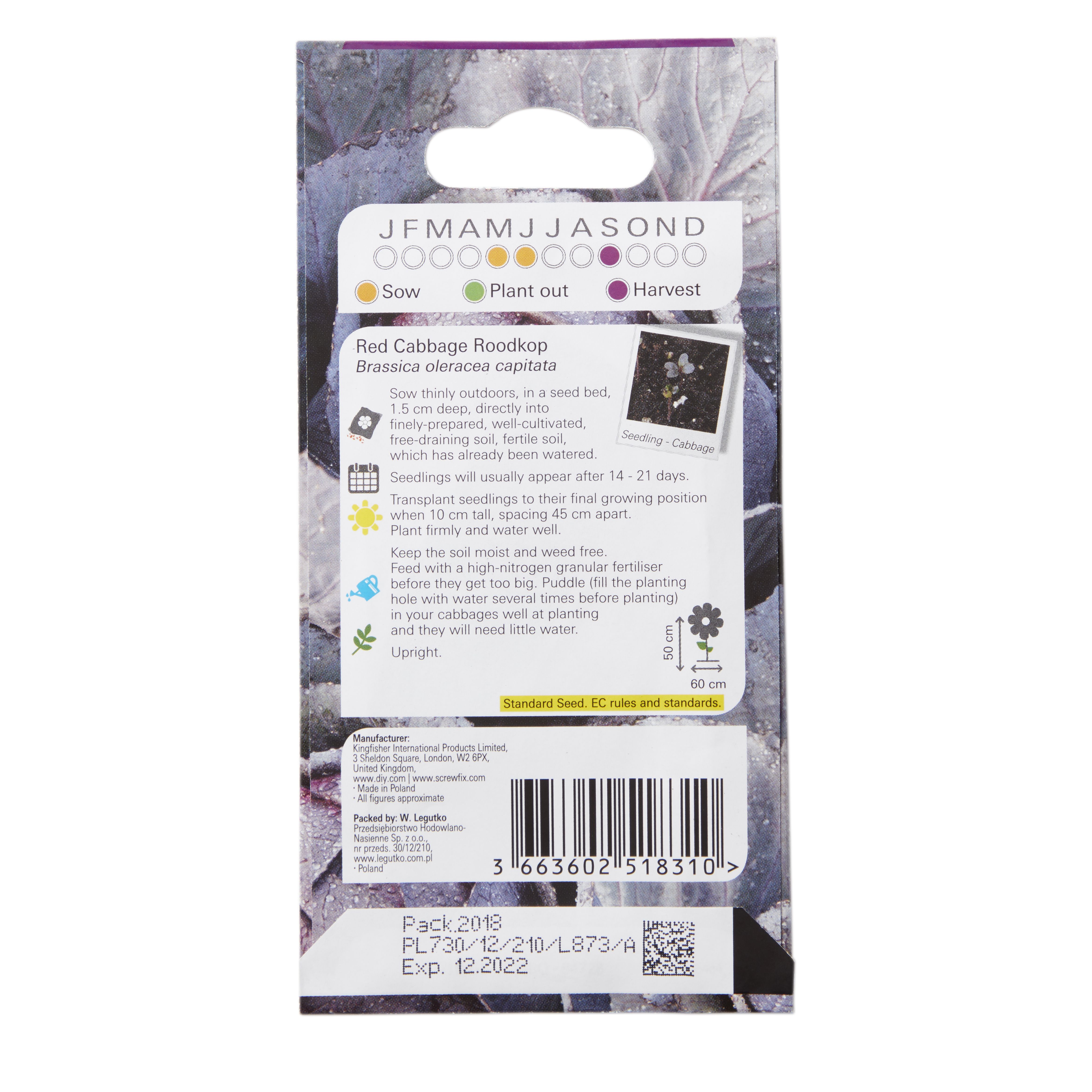 Red cabbage roodkop Cabbage Seed