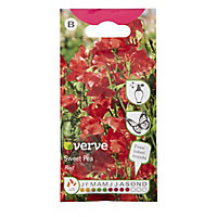Red Sweet pea Seed