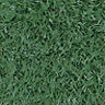 Regency Artificial grass (L)4m (W)1m (T)15mm