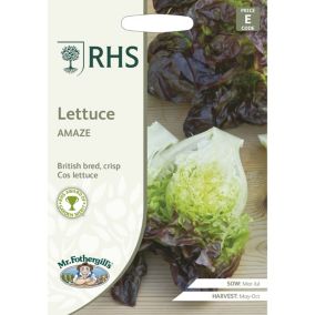 RHS Amaze Lettuce Seed