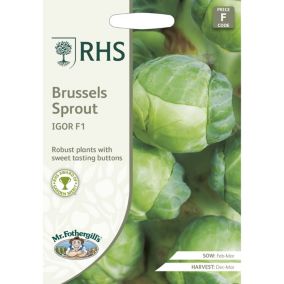 RHS Igor F1 Brussel sprout Seed