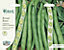 RHS Imperial Green Longpod Broad bean Seed