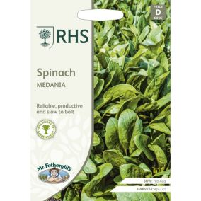 RHS Medania Spinach Seed