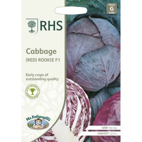 RHS Red Rookie F1 Cabbage Seed