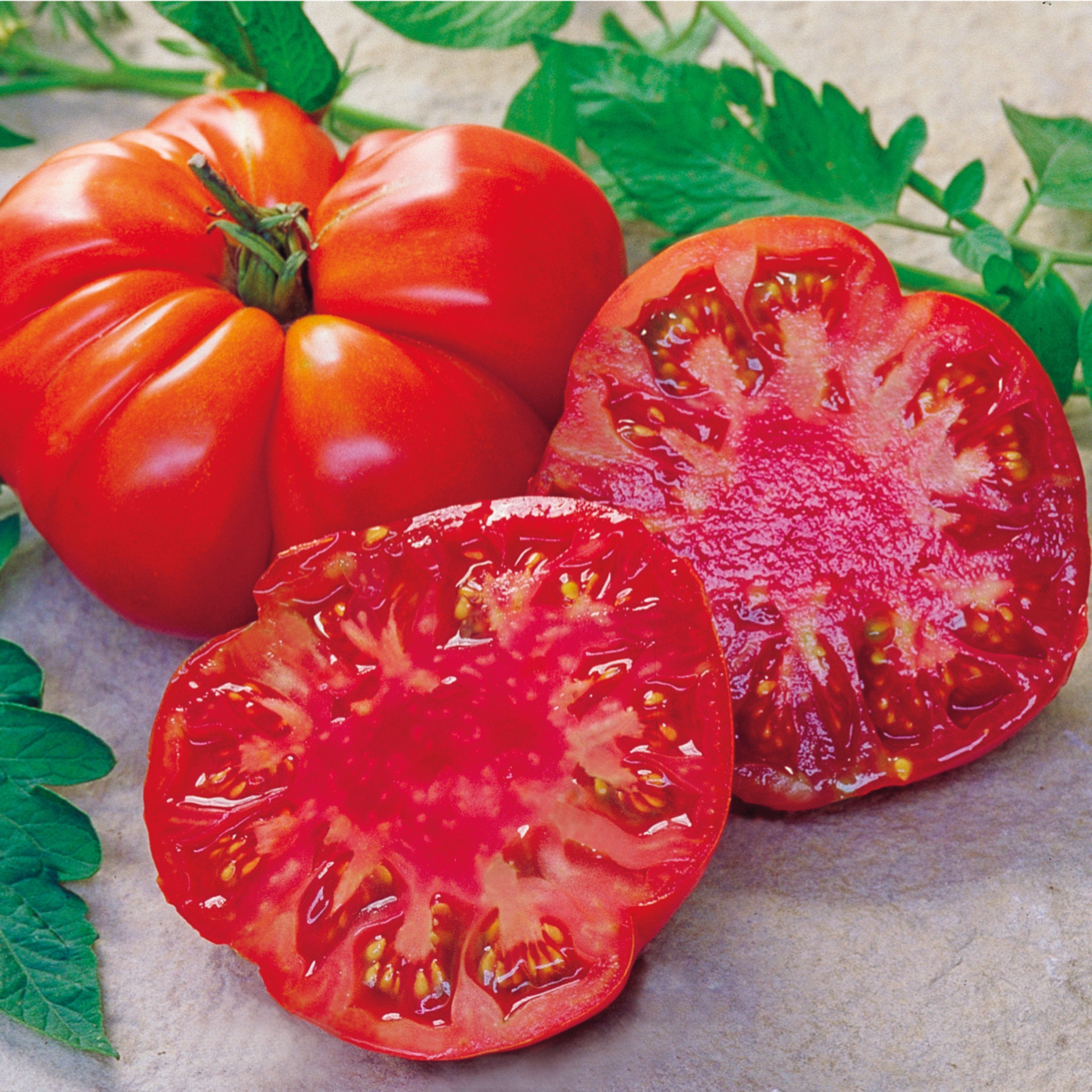 RHS Tomande F1 Tomato Seed
