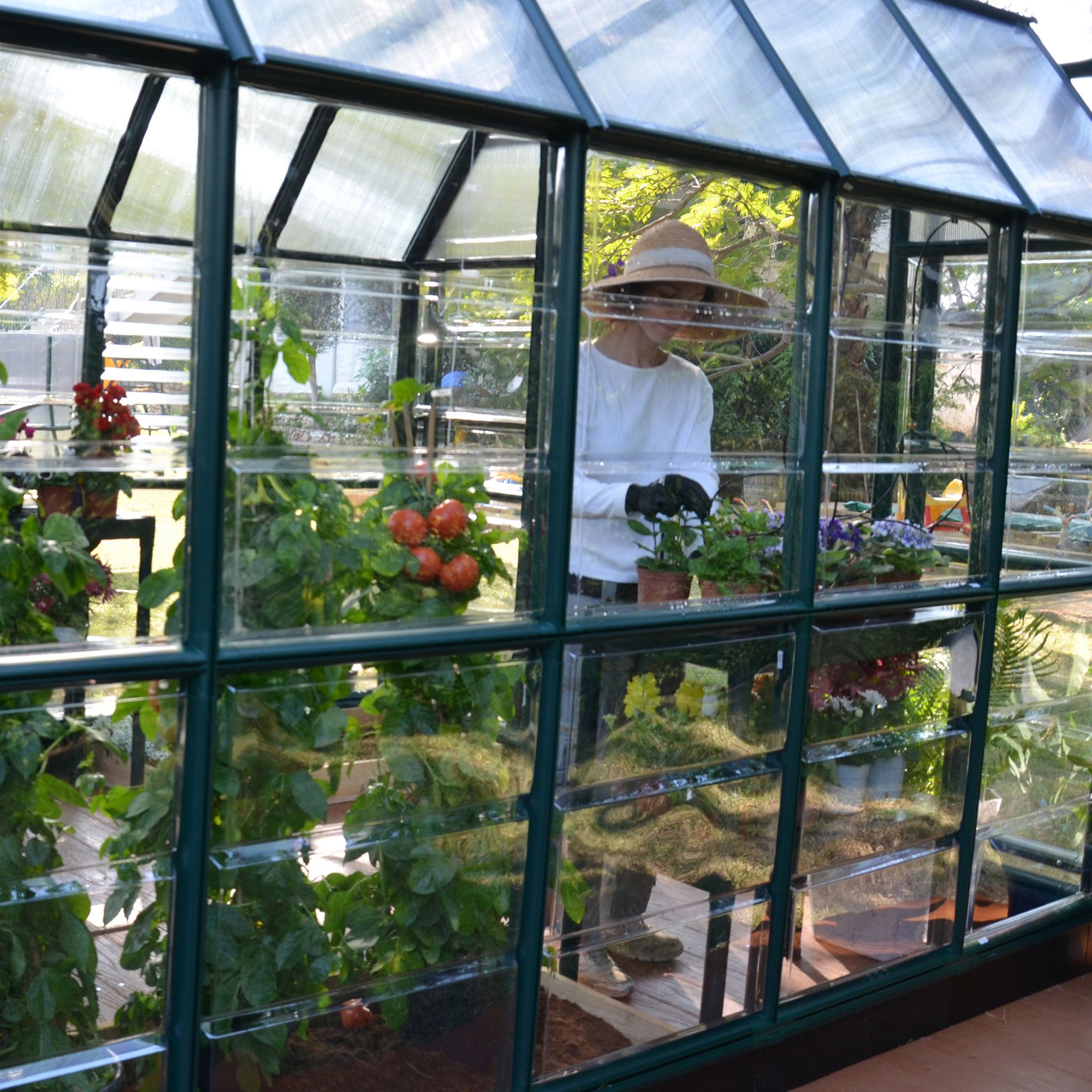 Rion Grand Gardner Green 8x8 Greenhouse
