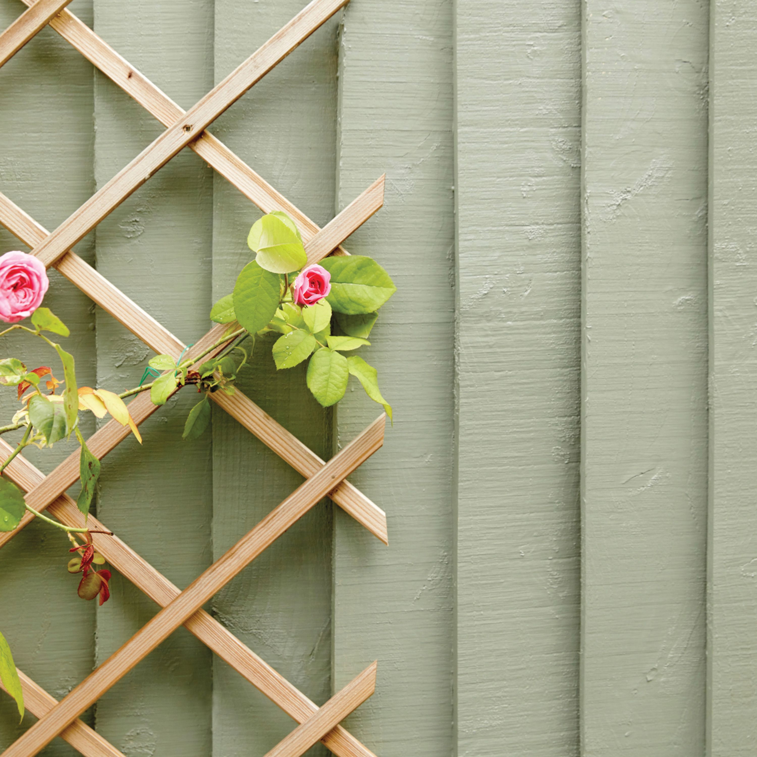 Ronseal Fence life plus Sage Matt Exterior Fence & shed Wood paint, 5L Tub