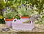Ronseal Garden Cherry blossom Matt Multi-surface Garden Metal & wood paint, 250ml