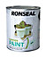 Ronseal Garden Mint Matt Multi-surface Garden Metal & wood paint, 750ml