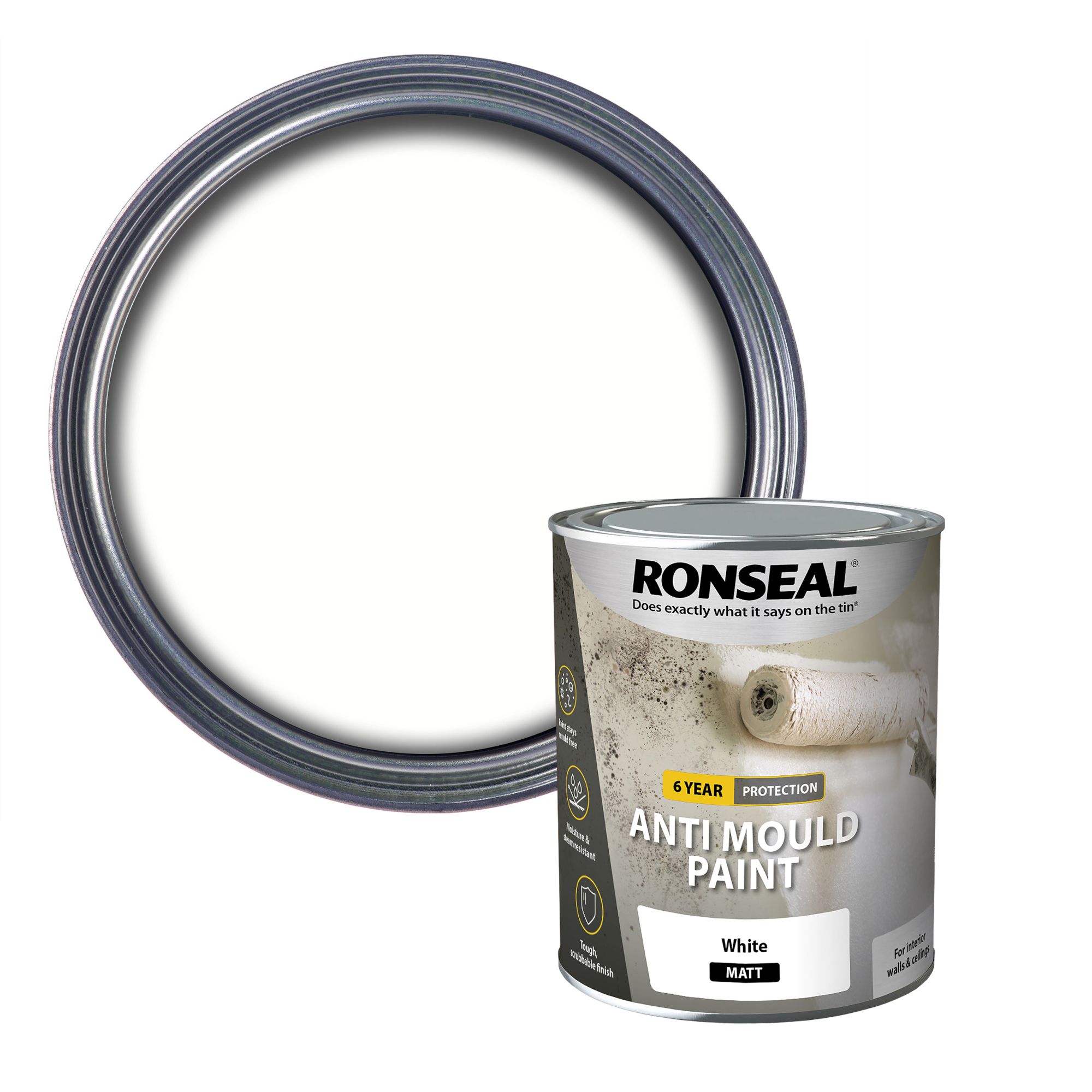 Anti Mould Paint & Anti Condensation Paint - Great Solution?