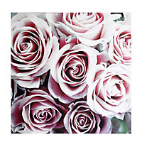 Roses Blush Canvas art (H)90cm x (W)90cm