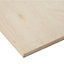 Sanded Brown Hardwood Plywood Board (L)2.44m (W)1.22m (T)15mm 28570g