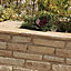 Sandstone Fossil buff Coping stone, (L)450mm (W)160mm, Pack of 28