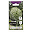 Savoy cabbage vertus 2 Cabbage Seed