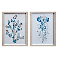 Sealife White & blue Framed print (H)40cm x (W)30cm