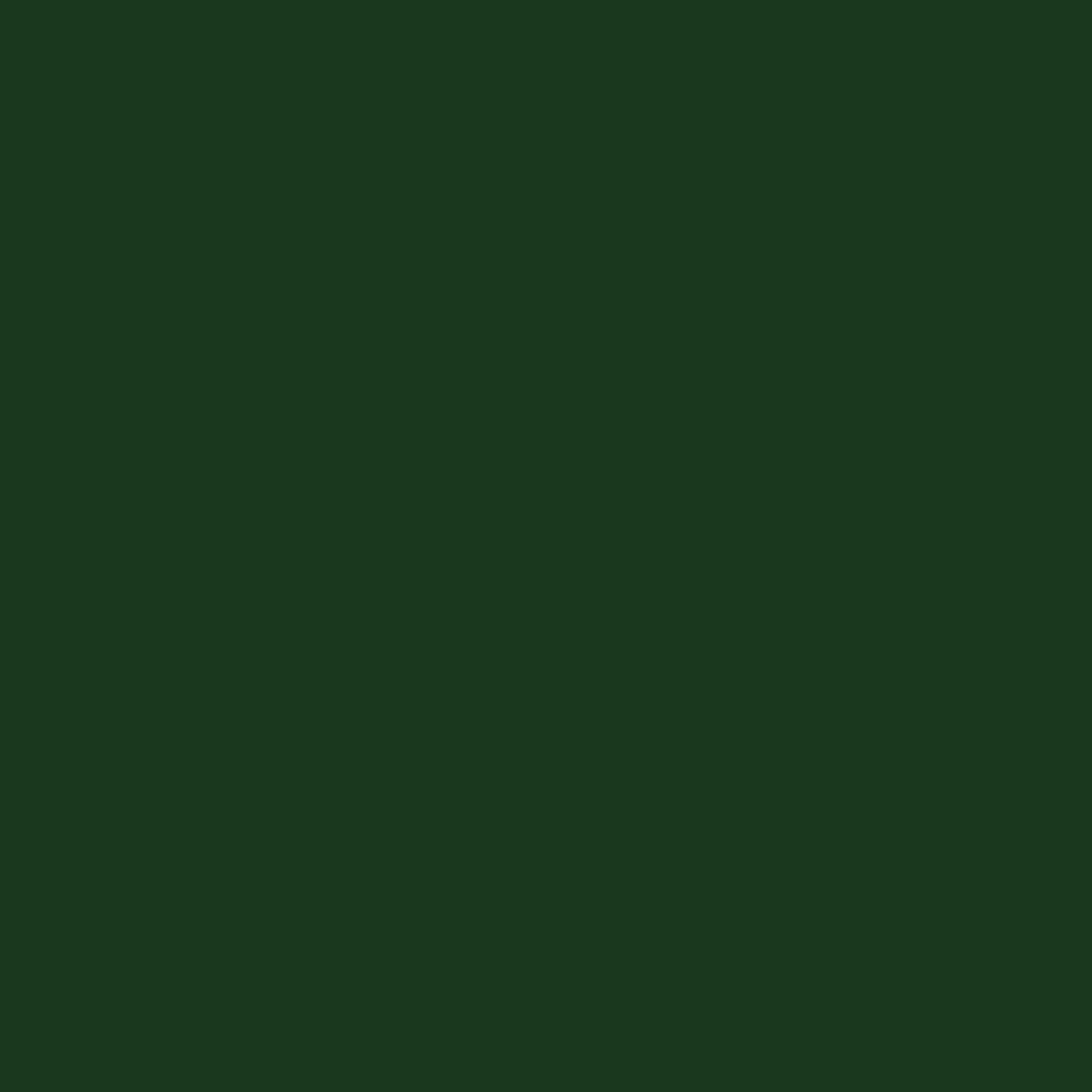 Showerwall Dark Emerald Silicone-based Bathroom & kitchen Sealant, 290ml