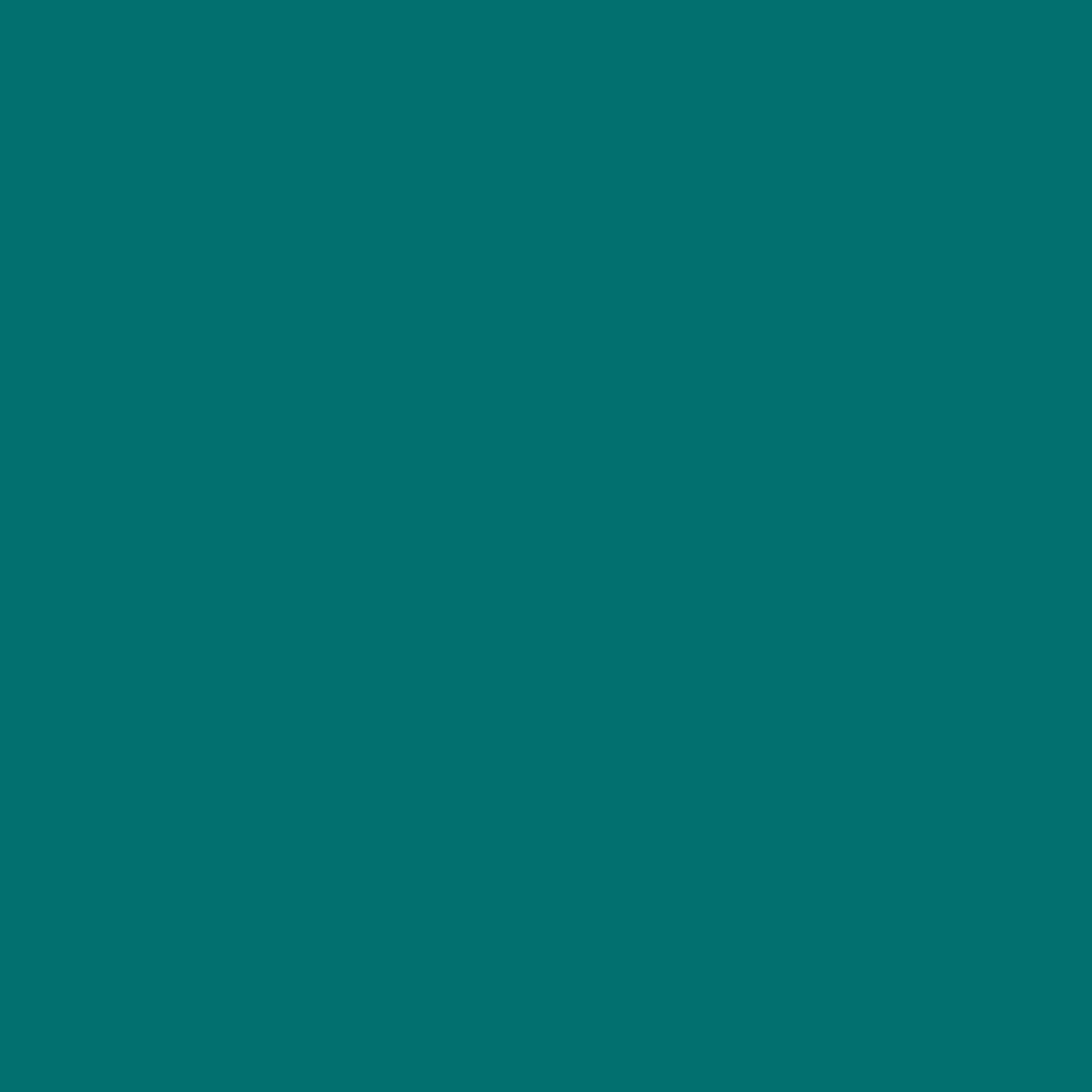 Showerwall Fern Silicone-based Bathroom & kitchen Sealant, 290ml