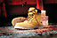 Site Rock Honey Safety boots