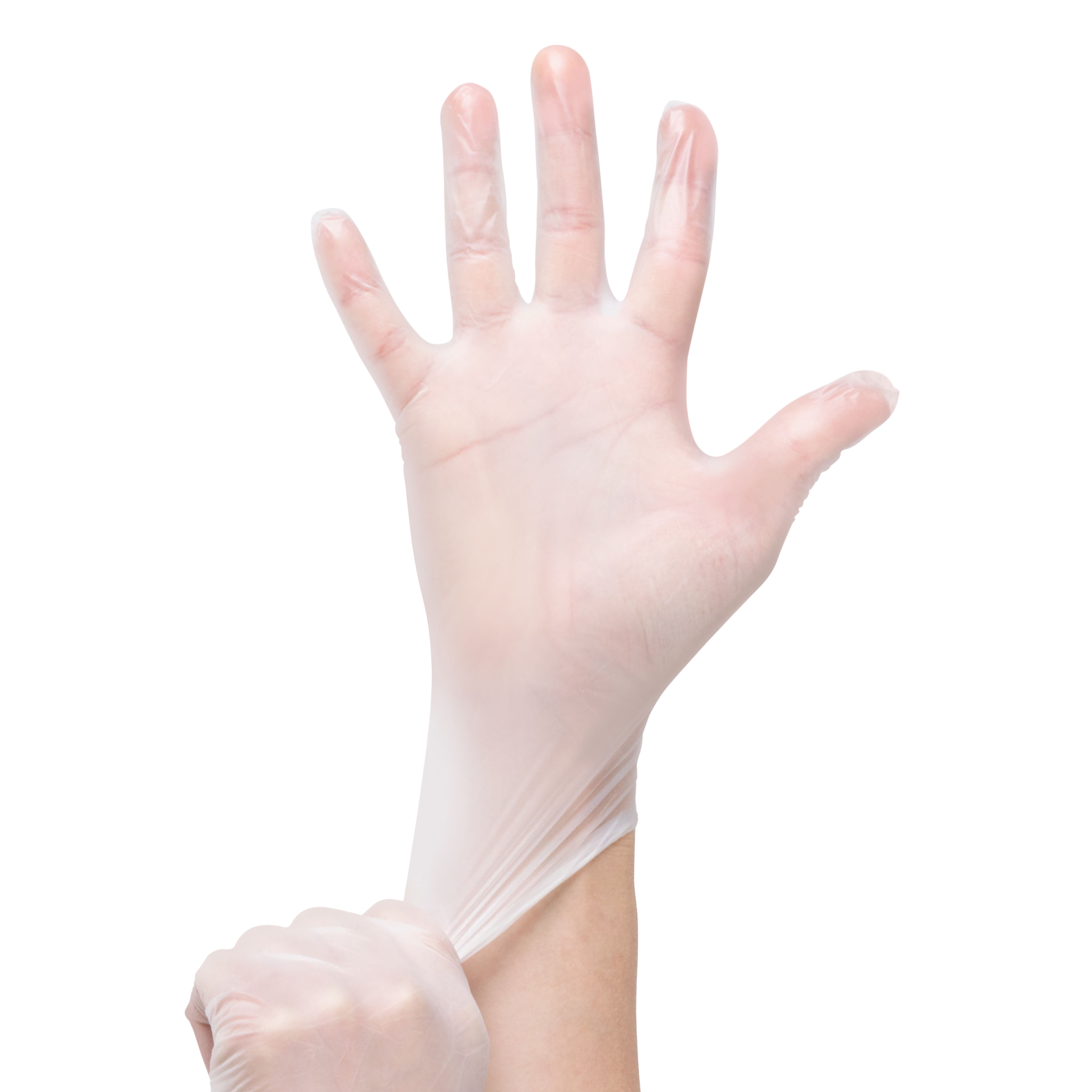 Site Vinyl Disposable gloves Large, Pack of 100