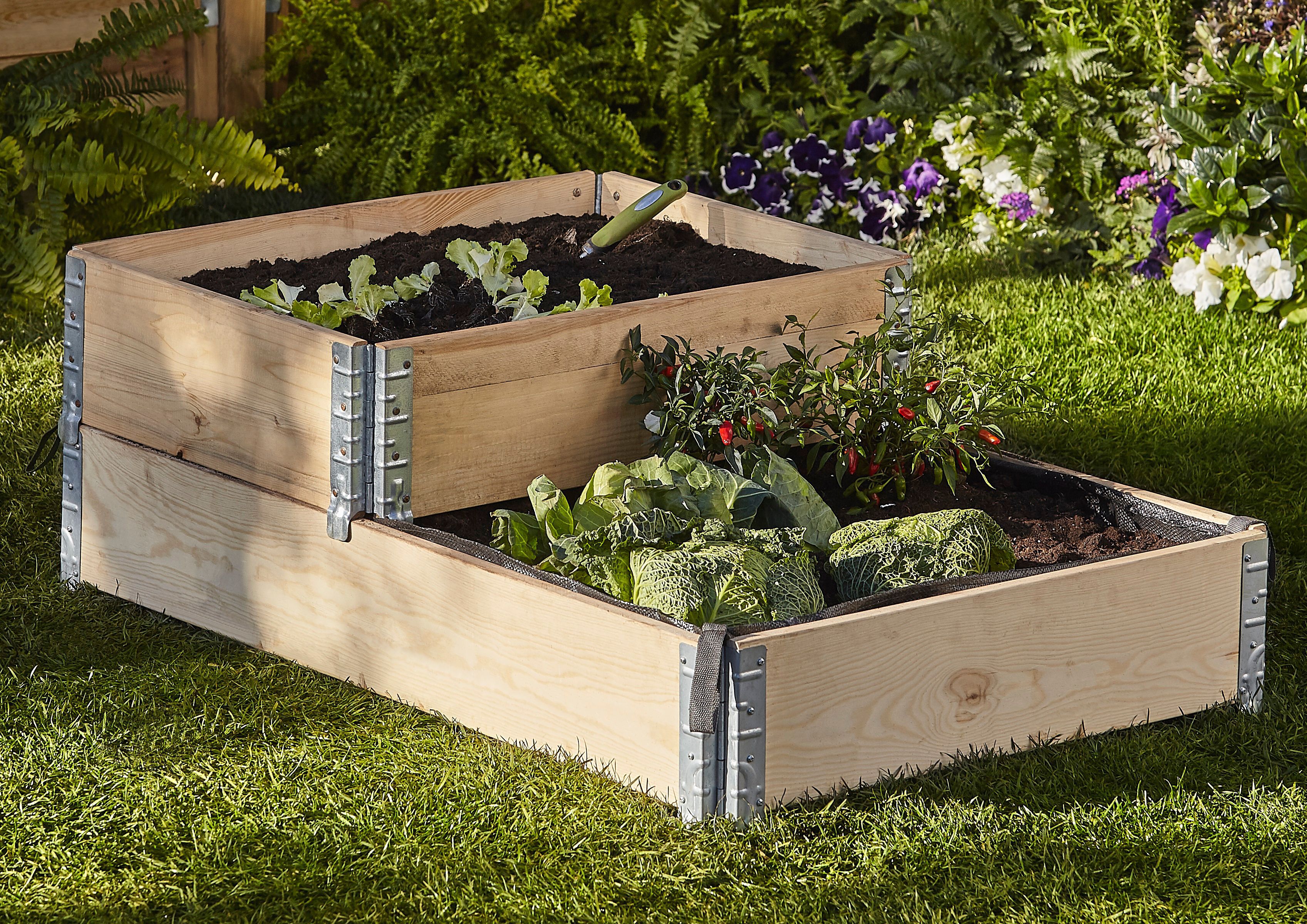 Small Pine & steel Rectangular Raised bed kit 0.48m²