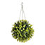 Smart Garden Boxleaf Artificial topiary Ball