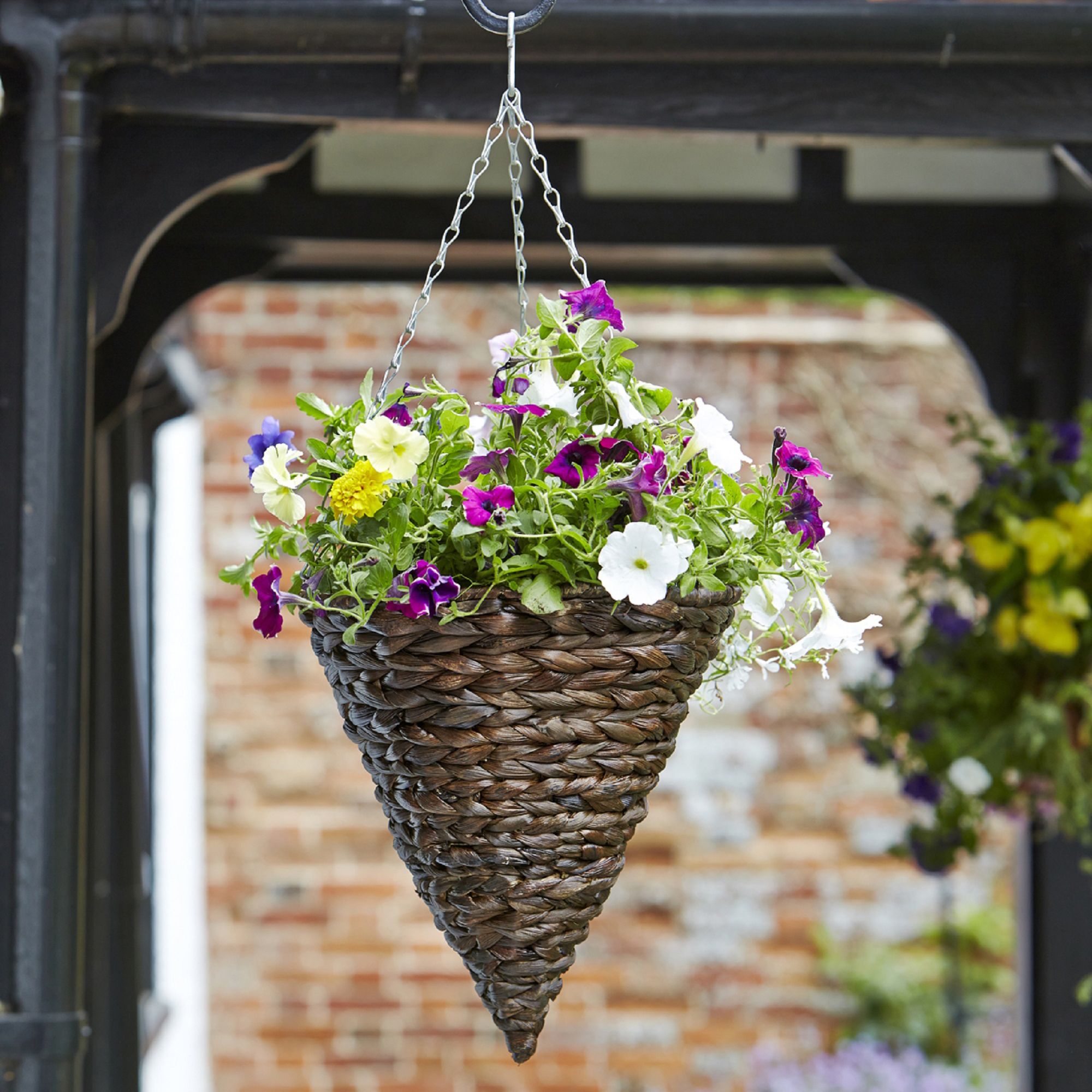 Smart Garden Hyacinth Natural Cone Hanging basket, 35cm