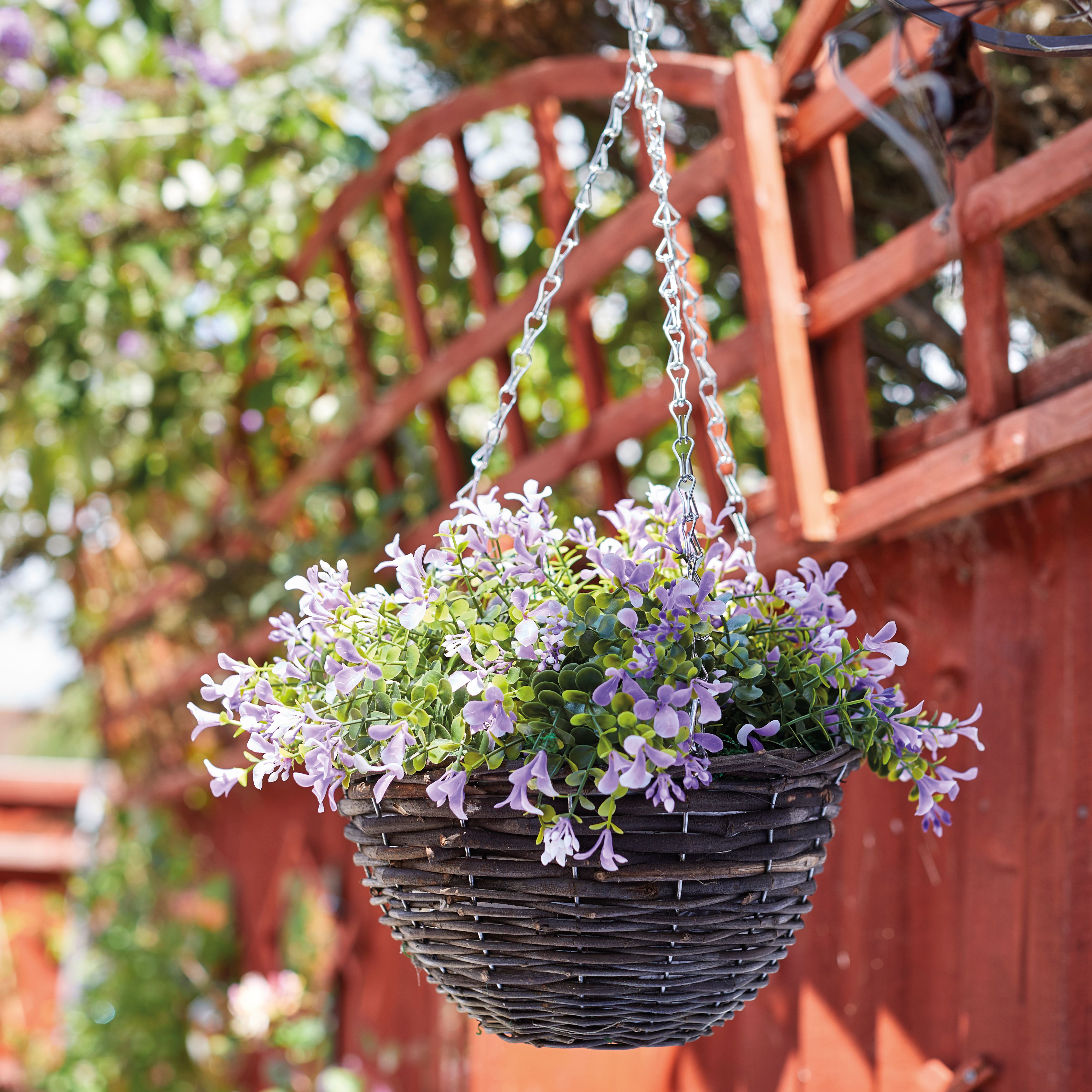 Smart Garden Pansy artificial Lilac & green Round Plastic Hanging basket, 25cm
