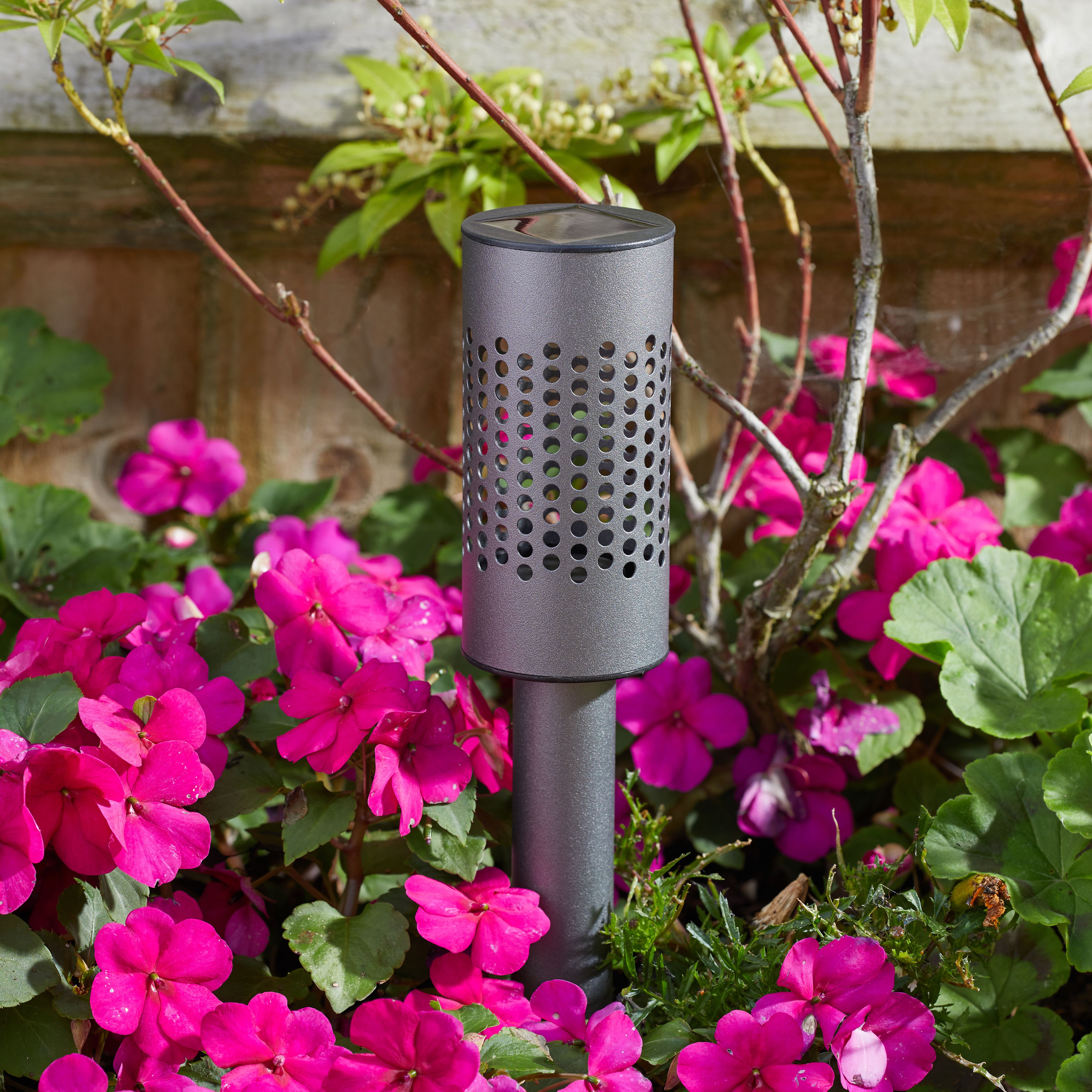 Smart Garden Solstar Silver effect Solar-powered LED Outdoor Stake light