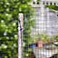 Smart Garden Steel wire mesh roll, (L)0.9m